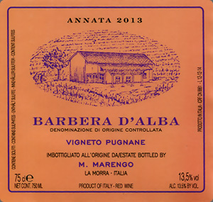 Barbera d'Alba Vigneto Pugnane