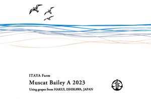 Muscat Bailey A