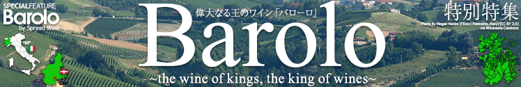 偉大なる王のワイン「バローロ」